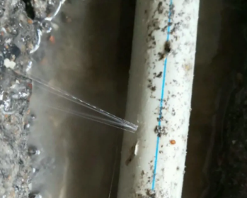 阿荣卫生间测漏水多少钱