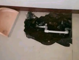 阿荣卫生间测漏水多少钱
